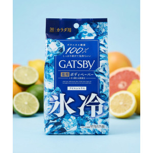갸스비 바디 페이퍼 데오드란트 쿨 시트 개츠비 아이스 시트러스, 300g, 1개