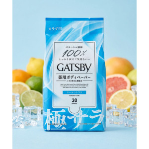 갸스비 바디 페이퍼 데오드란트 쿨 시트 개츠비 사라사라 쿨 시트러스, 300g, 1개