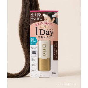호유 시에로 cielo 원데이 새치 커버 스틱 9ml, 다크 브라운, 1개
