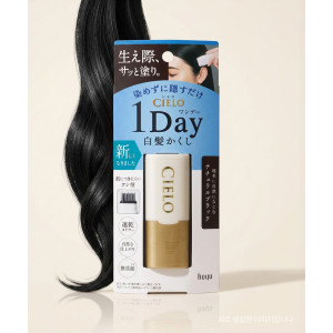 호유 시에로 cielo 원데이 새치 커버 스틱 9ml, 내츄럴 블랙, 1개