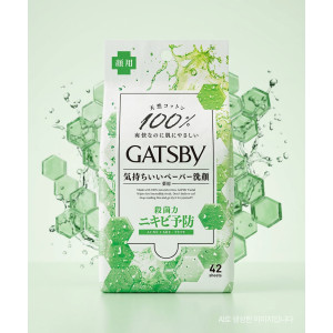 갸스비 바디 페이퍼 데오드란트 쿨 시트 개츠비 트러블 케어, 300g, 1개